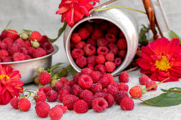 Fresh raspberry and green leaves and flowers on old  background in rustic style, selective focus.