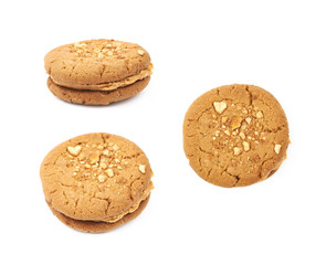 Peanut butter homemade cookie isolated