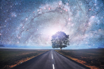 Asphalt road and lonely tree under a starry night sky