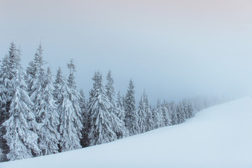 Obraz premium Dense fog in the mountains. Dramatic scene. Magical winter snow 