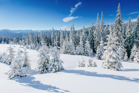 Mysterious winter landscape majestic mountains in .