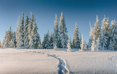 Fantastic winter landscape, steps, something leading into the mo