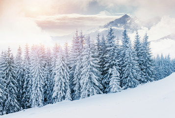 Fototapeta na wymiar Mysterious winter landscape majestic mountains