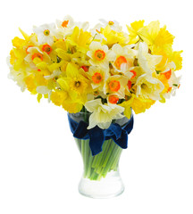 Mix of light and dark yellow daffodils in vase iaolated on white background