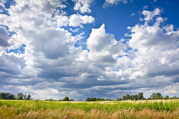 Landscape with clouds on a blue sky.
Pleasant sunny summer day.