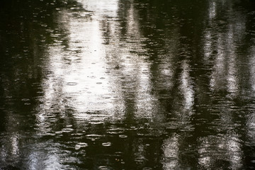 Fototapeta na wymiar Reflections of trees in the pond wrinkled rain. The surface of the pond during the rain.