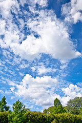 Landscape with clouds on a blue sky.
Pleasant sunny summer day.