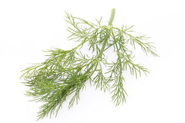 Fresh dill on the white background.