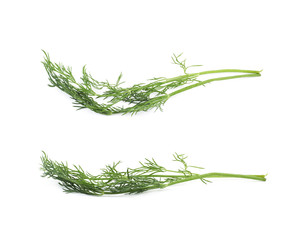 Dill herb isolated