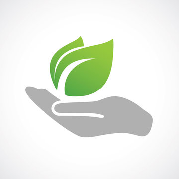 Hand holding plant. Growth concept vector illustration