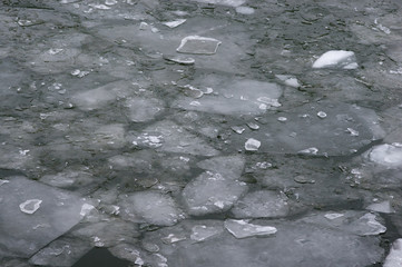 Ice floes in water
