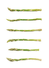 Single spear of asparagus isolated