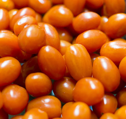 cherry tomatoes