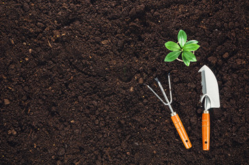 Gardening tools on fertile soil texture background seen from above, top view. Gardening or planting...