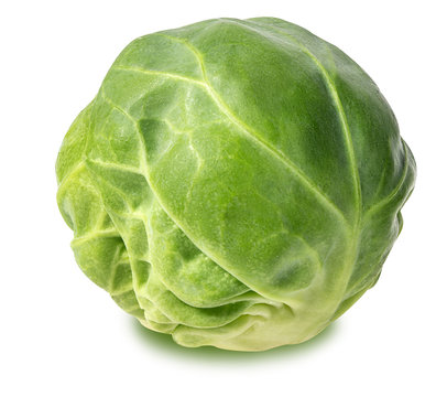 Brussels sprouts isolated on white
