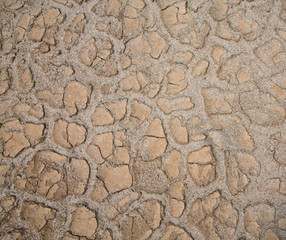 Текстура земли, сухой. 