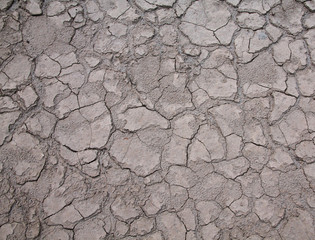 Текстура земли, сухой. 