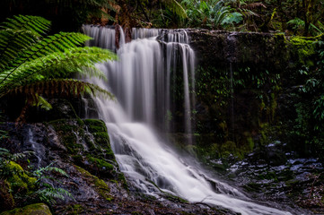 Obraz premium Horseshoe Falls in Mt. Field National Park, Tasmania, Australia