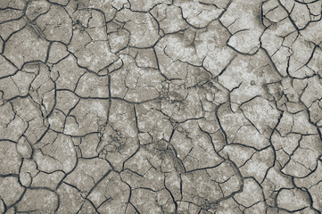 Текстура земли, сухой. 