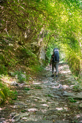 Fototapeta premium Hiking with little baby sitting in the backpack