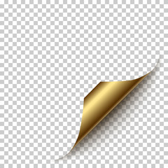Vector realistic golden paper corner with shadow on transparent background