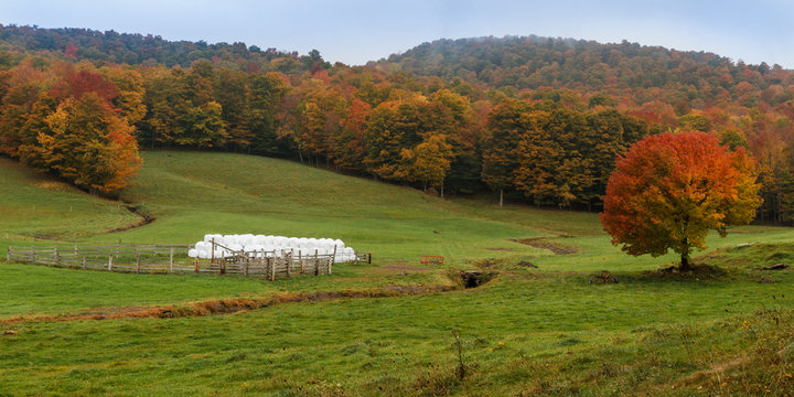 Autumn field with hay bales, grass and changing trees