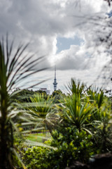 Fototapeta na wymiar Sky Tower at Auckland, New Zealand.