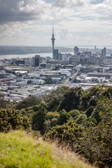 Obraz premium Sky Tower at Auckland, New Zealand.