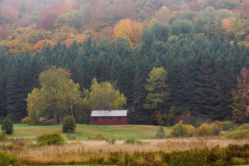 Misty Vermont Morning at the Farm with Autumn Colors