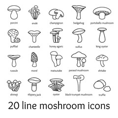 twenty line mosroom icons
