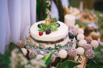 White cake with succulents and frog, blackberries and raspberries for decoration, cake pops on a stick among green leaves