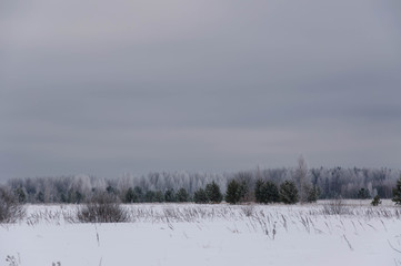 A snowy field in cloudy weather