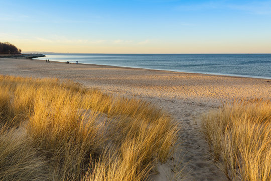 Baltic Sea and sand dunes with golden grass. Poland.