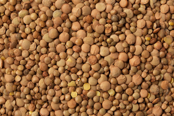 Dry brown lentils beans close up textured background