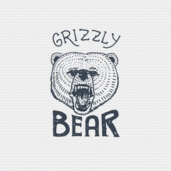 vintage old logo or badge, label engraved and old hand drawn style with wild grizzly bear
