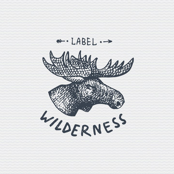 vintage old logo or badge, label engraved and old hand drawn style wild moose, elk face