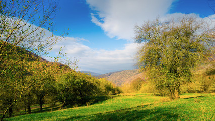 Fototapeta na wymiar Autumn mountain and garden panorama