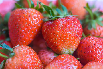 strawberry fruit