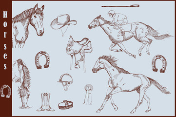 Set of horses and horse riding equipment
