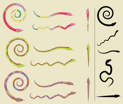 Set of colorful snake brushes 