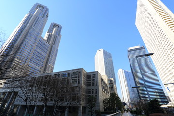 新宿にそびえ立つ東京都庁と高層ビル群