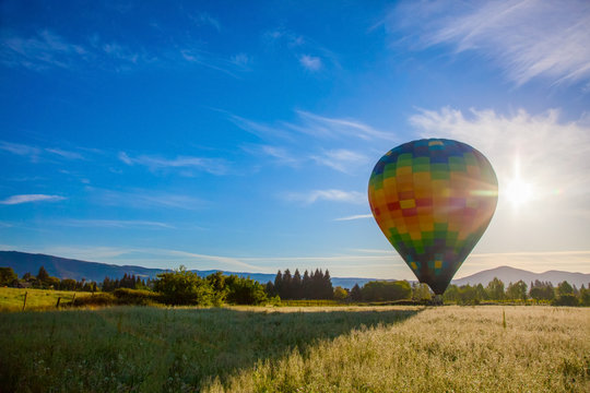 Hot air balloon taking off against the sun.  Napa, California, USA.