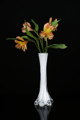 Beautiful flowers in white vase and on black background