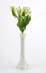 Beautiful flowers in white vase and on white background