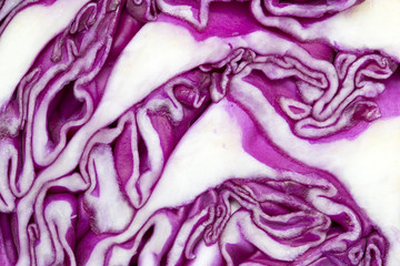 Obraz premium Red cabbage as background