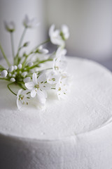 Obraz na płótnie Canvas Cake with flower 