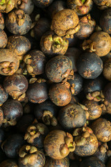 The mangosteen fruit lying on the market. Background many mangosteen fruit.