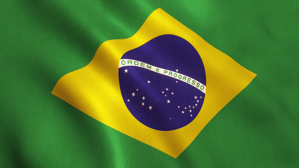Brazil Flag Waving - Brazilian Texture
