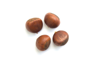 Chestnuts isolated on white background.