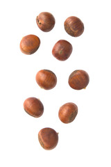 Falling chestnuts on white background.